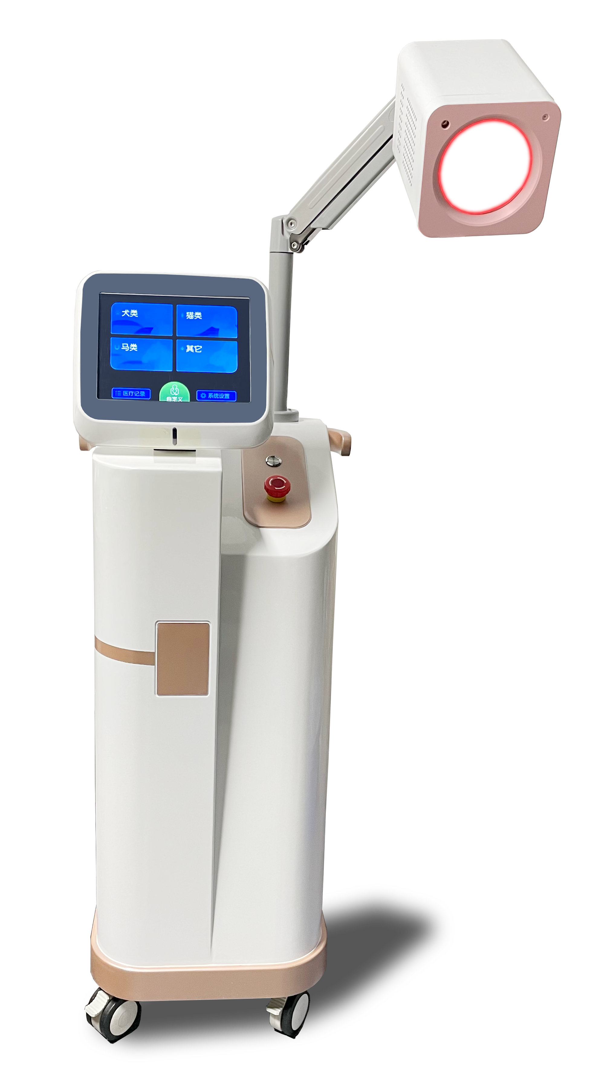 IRPA120